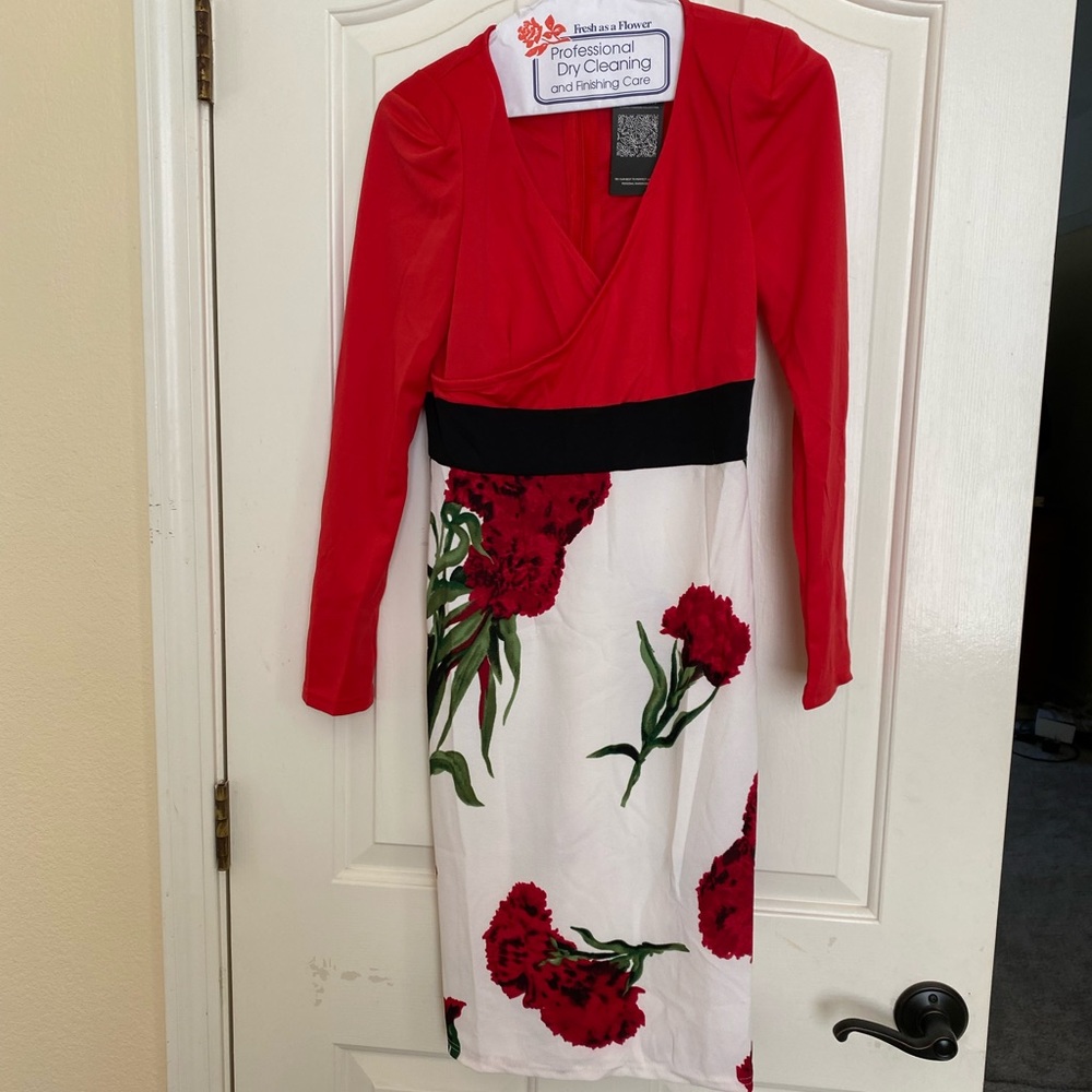 One piece dress- hugs curves. Fits 4-6 size. Never worn
